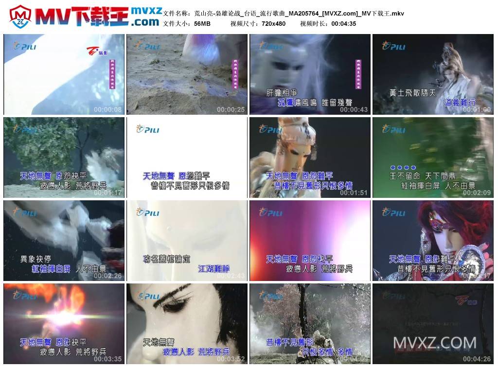 荒山亮-枭雄论战_台语_流行歌曲_MA205764